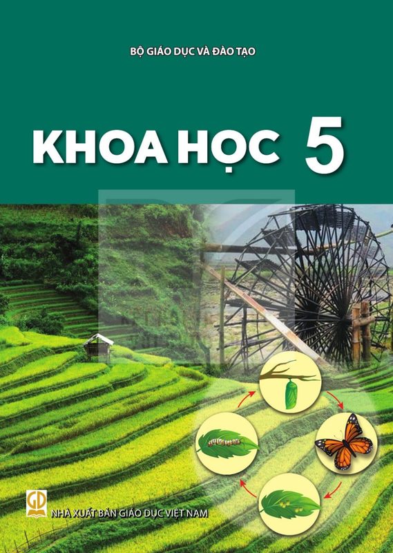 SGK Khoa học 5 - Kết Nối Tri Thức