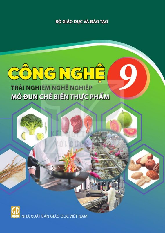 SGK Công nghệ 9 - Trải nghiệm nghề nghiệp - Mô đun Chế biến thực phẩm - Kết Nối Tri Thức