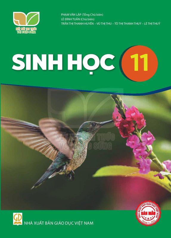 SGK Sinh học 11 - Kết Nối Tri Thức