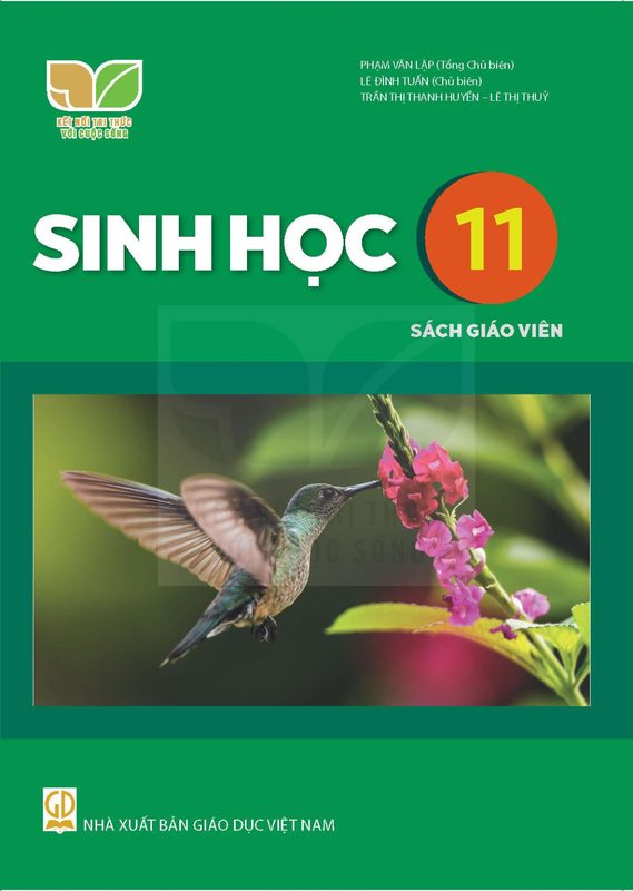 SGV Sinh học 11 - Kết Nối Tri Thức